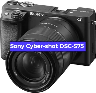 Замена Прошивка фотоаппарата Sony Cyber-shot DSC-S75 в Санкт-Петербурге